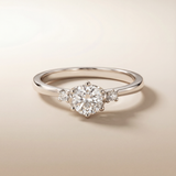 Bahara's Stella Nova