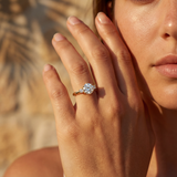 Bahara's Stella Nova